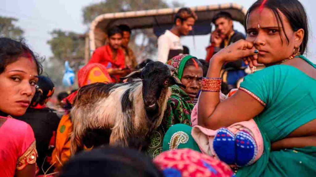 गढीमाईमा भारतीय भक्तजनलाई खसी, बोका, राँगा नेपाल प्रवेशमा रोक